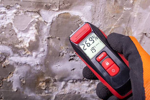 Best Mold Testing  in Crystal Lake, IL