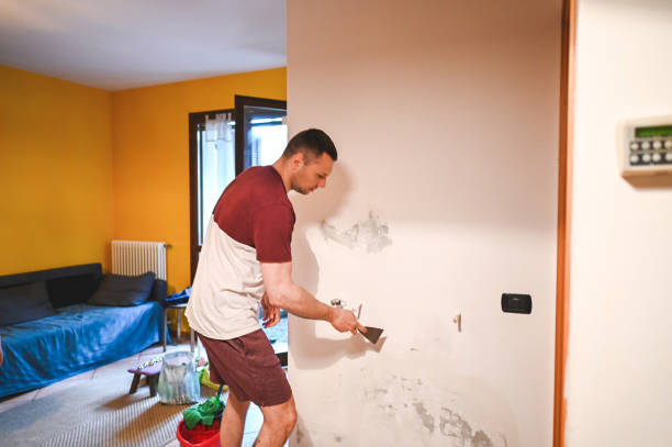 Best Mold Remediation Services  in Crystal Lake, IL